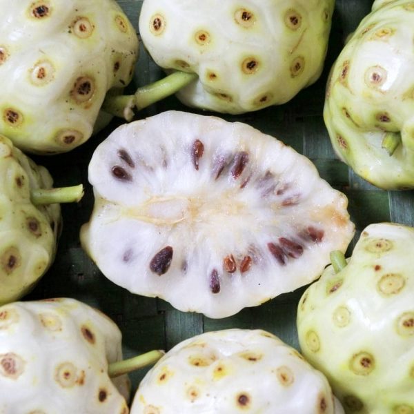 moruša biela nápoj 500ml moruša biela nápoj 500ml