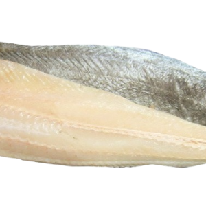 tilapia filety bez kože