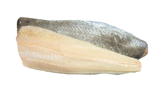 tilapia filety bez kože tilapia filety bez kože