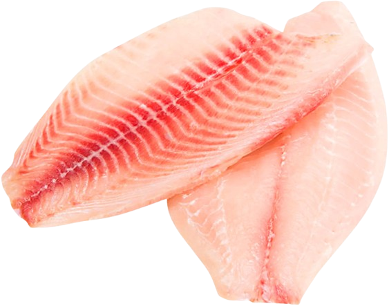 tilapia filety bez kože tilapia filety bez kože
