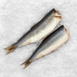 slede solené bez hlavy